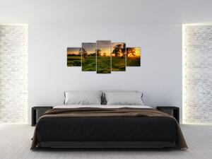 Západ slnka v krajine, obrazy (Obraz 150x70cm)