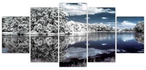 Zimná krajina - obraz (Obraz 150x70cm)