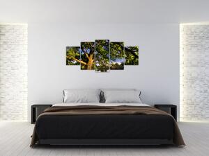 Obraz stromu (Obraz 150x70cm)