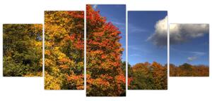 Jesenné stromy - obraz (Obraz 150x70cm)