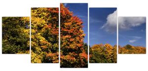 Jesenné stromy - moderný obraz (Obraz 150x70cm)