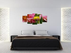Obraz kvetu rastliny (Obraz 150x70cm)