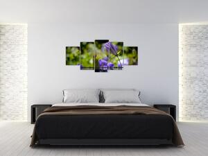 Modrá kvetina - obraz (Obraz 150x70cm)