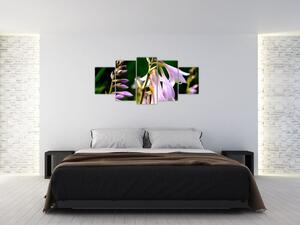 Kvety - obraz (Obraz 150x70cm)