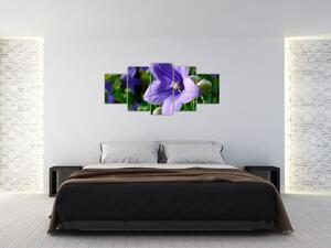 Kvety - obraz (Obraz 150x70cm)