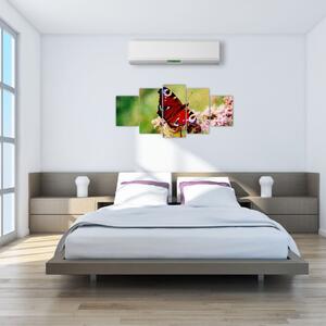 Motýľ - obraz (Obraz 150x70cm)