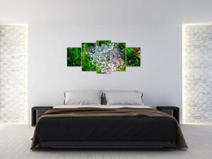 Ranná rosa - moderný obraz (Obraz 150x70cm)