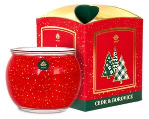 Arôme Vonná sviečka Cedar and Pine 90g