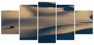 Púšť - obraz (Obraz 150x70cm)