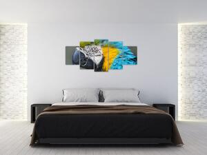 Papagáj - obraz (Obraz 150x70cm)