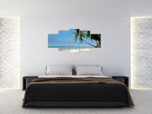 Fotka pláže - obraz (Obraz 150x70cm)