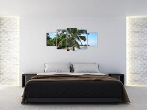 Palma - obraz (Obraz 150x70cm)