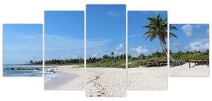 Exotická pláž - obraz (Obraz 150x70cm)