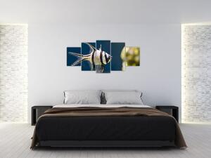 Ryba - obraz (Obraz 150x70cm)