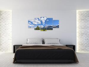 Fotka hôr - obraz (Obraz 150x70cm)