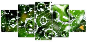 Kvapky vody - obrazy (Obraz 150x70cm)
