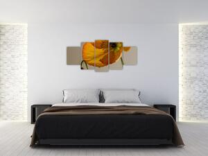 Žltý kvet - obraz (Obraz 150x70cm)