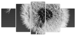 Odkvitnutá púpava - obraz kvetín (Obraz 150x70cm)