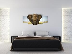 Slon - obraz (Obraz 150x70cm)