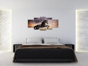 Kôň - obraz (Obraz 150x70cm)