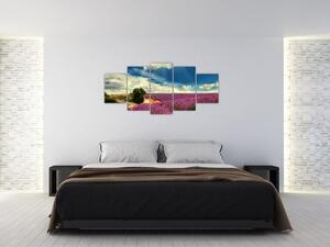 Levanduľové polia - obraz (Obraz 150x70cm)