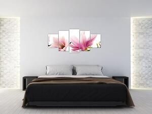Kvetina - obraz (Obraz 150x70cm)