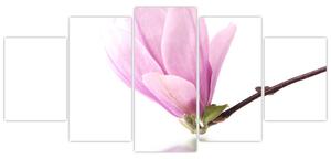 Kvet - obraz (Obraz 150x70cm)
