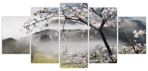 Sakura - obraz (Obraz 150x70cm)