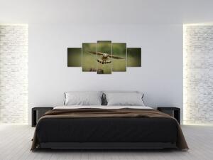 Orel - obraz (Obraz 150x70cm)