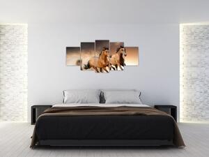 Kone - obraz (Obraz 150x70cm)