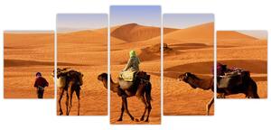 Ťavy v púšti - obraz (Obraz 150x70cm)
