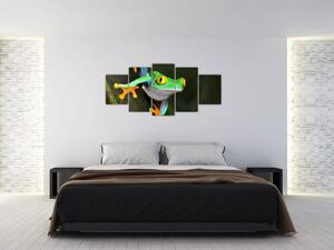 Žaba - obraz (Obraz 150x70cm)