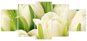 Detail tulipánov - obraz (Obraz 150x70cm)