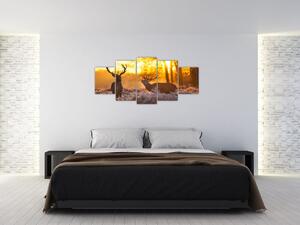 Jelene - obraz (Obraz 150x70cm)