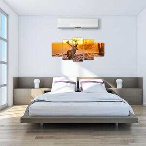 Jelen - obraz (Obraz 150x70cm)