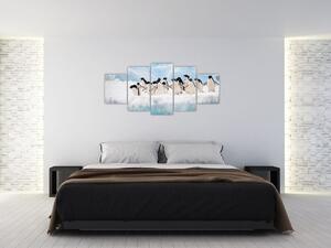 Tučniaci - obraz (Obraz 150x70cm)