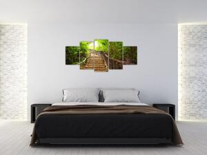 Schody v lese - obraz (Obraz 150x70cm)