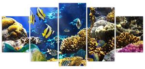Podmorský svet - obraz (Obraz 150x70cm)