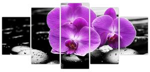 Obraz orchideí (Obraz 150x70cm)
