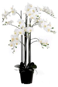 ORCHIDEA 117 cm - Kvety & kvetináče