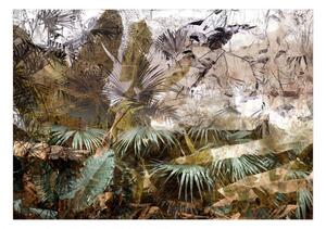 Fototapeta - V dažďovom pralese + zadarmo lepidlo - 250x175