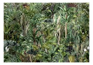 Samolepiaca fototapeta - Bohatstvo džungle 245x175