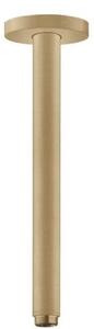 Sprchové rameno Hansgrohe strop kartáčovaný bronz 27389140