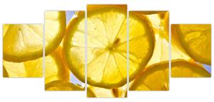Plátky citrónov - obraz (Obraz 150x70cm)