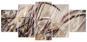 Obraz pšenica (Obraz 150x70cm)