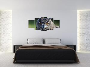 Sova - obraz (Obraz 150x70cm)