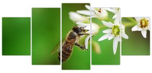 Fotka včely - obraz (Obraz 150x70cm)