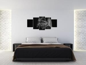 Obraz opice (Obraz 150x70cm)