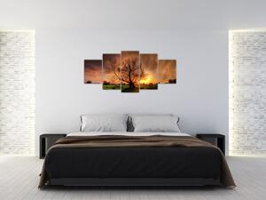 Obraz stromu (Obraz 150x70cm)