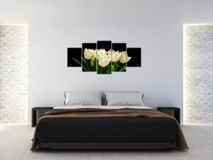 Biele tulipány - obraz (Obraz 150x70cm)